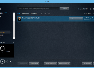 Возможности и функционал программы Zona