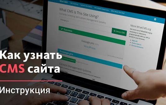Зачем узнавать cms чужого сайта?