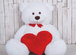 Плюшевый мишка с доставкой – оригинальный способ поздравить близкого человека
