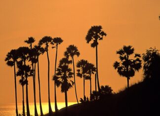 Аналитики представили рейтинг самых дорогих туров 2021 года