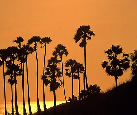 Аналитики представили рейтинг самых дорогих туров 2021 года