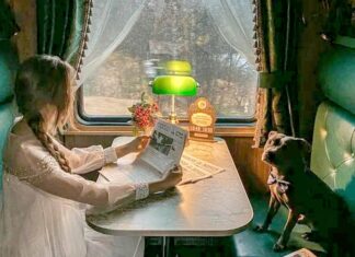 На Новый год по России запустят более 500 дополнительных поездов