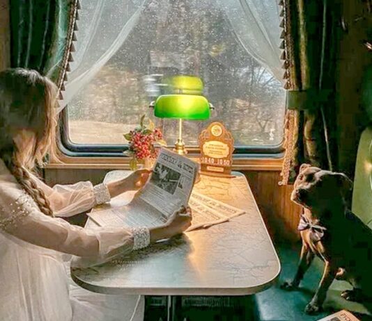 На Новый год по России запустят более 500 дополнительных поездов