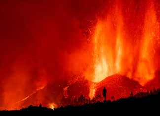Наука в фотографиях: красочные итоги 2021 года по версии журнала Nature