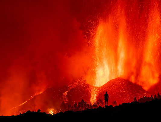 Наука в фотографиях: красочные итоги 2021 года по версии журнала Nature