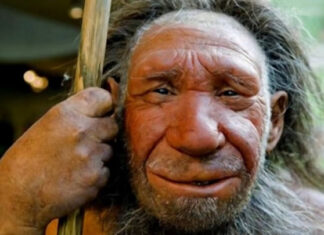 Новосибирские ученые расшифровали ДНК денисовского человека