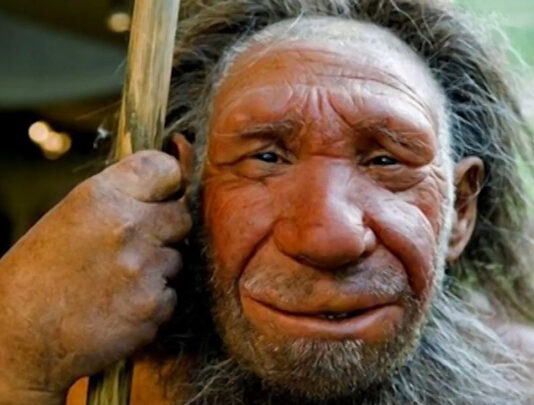 Новосибирские ученые расшифровали ДНК денисовского человека