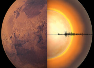 Прорыв года: журнал Science назвал десятку самых ярких научных достижений за 2021 год
