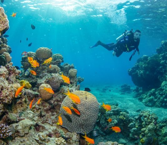 Лучшие места для дайвинга