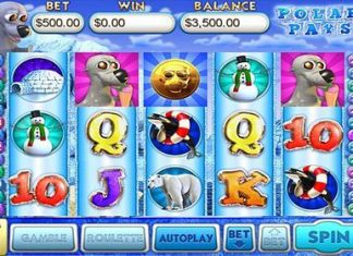 Онлайн Рокс Казино: выбираем игровой автомат, который принесет прибыль