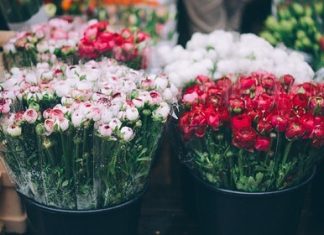 Цветочные тренды 2023 года: новые направления в флористике