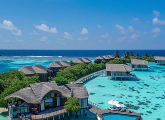Тайны рая: исследуя Мальдивы в поисках истинного отдыха