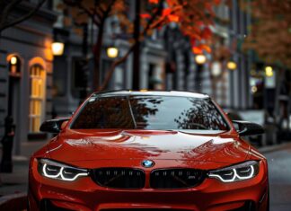 Процесс получения дубликата государственного номера автомобиля в России