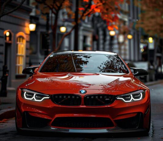 Процесс получения дубликата государственного номера автомобиля в России