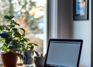 Программы для Windows: обзор и рекомендации