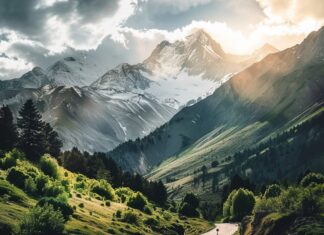 Выбор скоростного велосипеда: руководство для покупателя