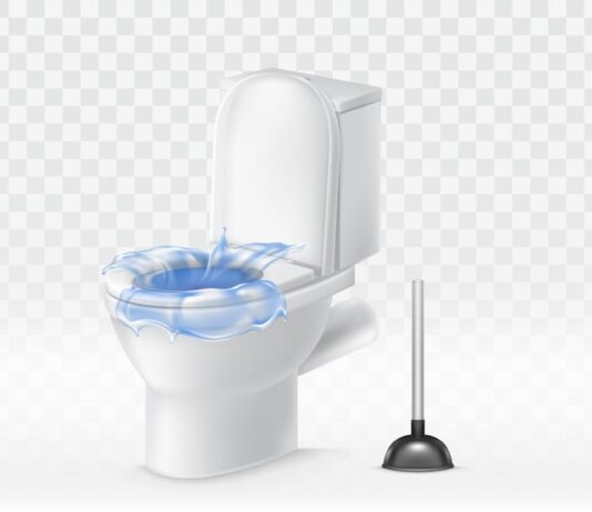 Сонник: Унитаз полный воды и кала