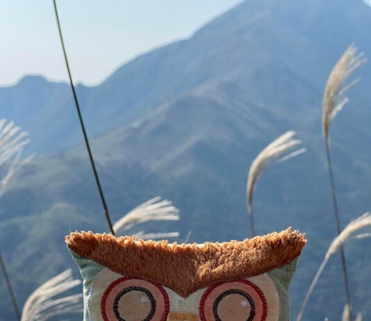 Сплетение совы из резинок на рогатке