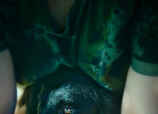 Тотемное животное Рака по дате рождения женщины