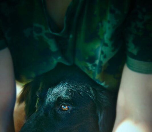 Тотемное животное Рака по дате рождения женщины