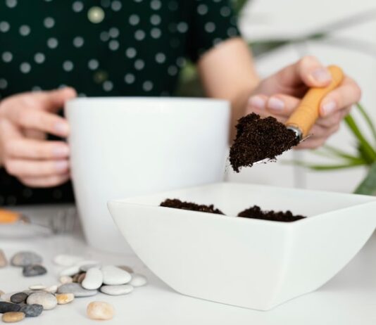 Шоколадный фондан в домашних условиях