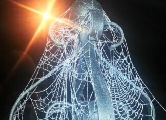 Дом 2 в Скорпионе у Женщины в Натальной Карте