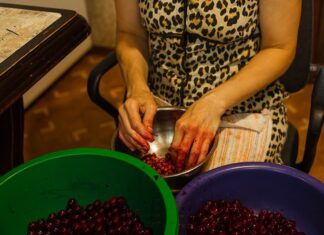 Домашняя клюквенная настойка на водке