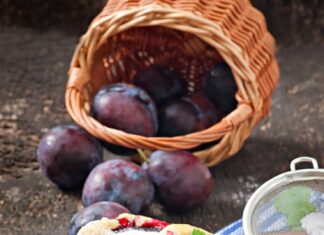 Шарлотка со сливами: простой рецепт в духовке