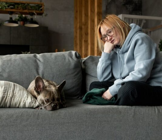 Сон про мертвых собак и кошек: толкование