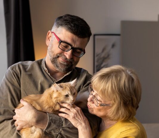 Поддержка друга после потери кота