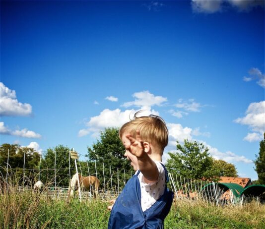 Сны о копании земли: толкование