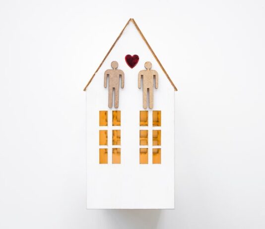 7 дом в Близнецах у мужчины: особенности натальной карты