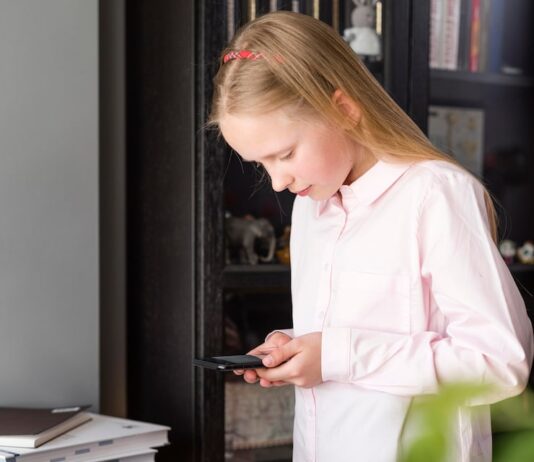 Электронный дневник Московской области: вход в личный кабинет на школьном портале