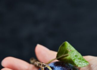 Сон о сборе сливы для женщины: толкование