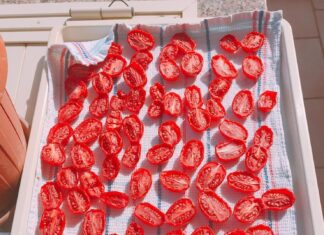 Вяленые помидоры в сушилке для овощей