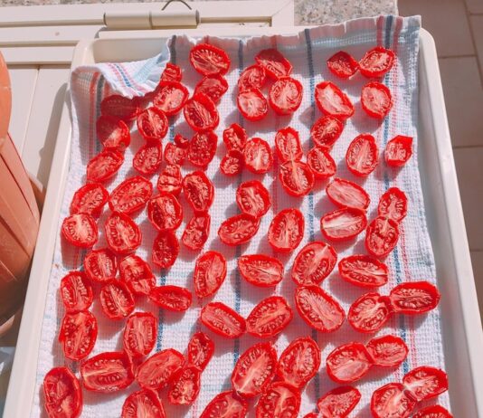 Вяленые помидоры в сушилке для овощей