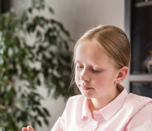 Вход в электронный дневник через госуслуги МО