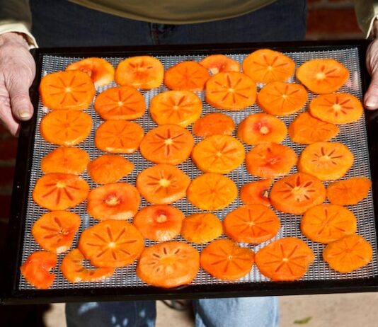 Вкусные рецепты тыквы в духовке