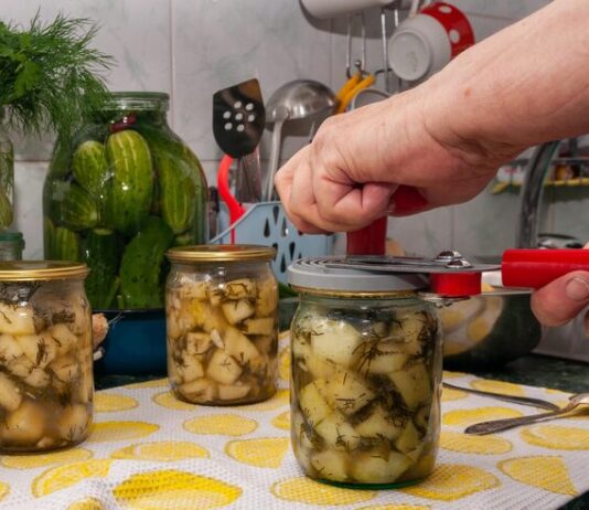 Маринование маслят на зиму в банках: простой рецепт