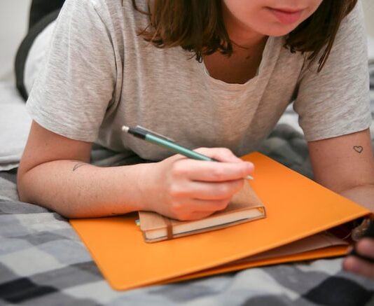 Электронный дневник: вход для родителей без госуслуг