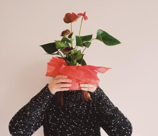 Поздравления с днем рождения творческой личности