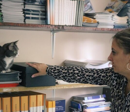 Книжная и альбомная ориентация в одном файле