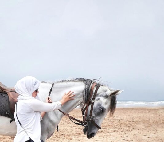 Сон о скачке на белой лошади: толкование