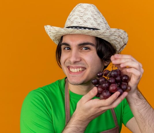 Виноград во сне мужчины: толкование сна