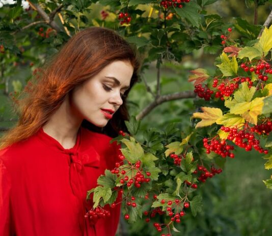 Снится слива на дереве: толкование для женщин