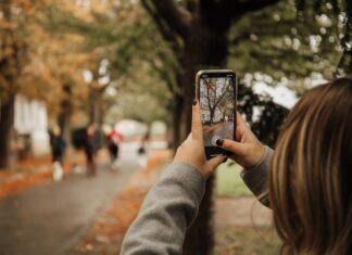 Поиск по изображению в Яндексе с телефона