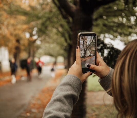 Поиск по изображению в Яндексе с телефона