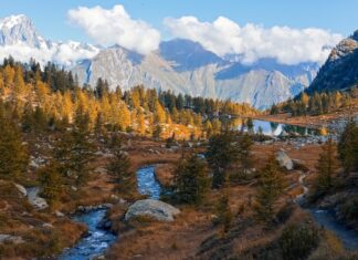 Проверка очереди на Госуслугах в Красноярском крае