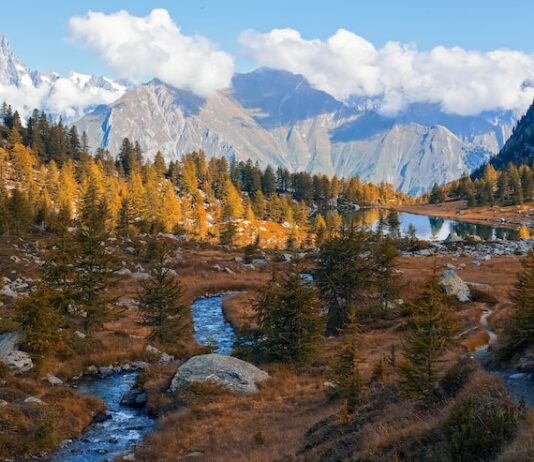 Проверка очереди на Госуслугах в Красноярском крае