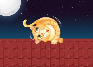 Кету в 12 доме, Раху в 6: Астрологический анализ